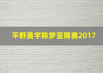 平野美宇陈梦亚锦赛2017