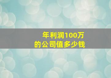 年利润100万的公司值多少钱