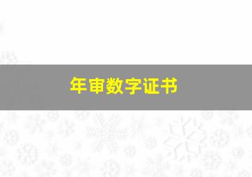 年审数字证书