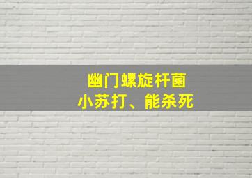 幽门螺旋杆菌小苏打、能杀死