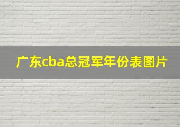 广东cba总冠军年份表图片