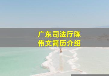 广东司法厅陈伟文简历介绍