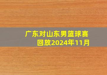 广东对山东男篮球赛回放2024年11月