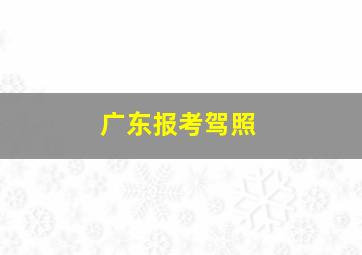 广东报考驾照