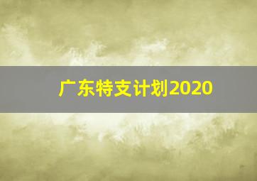 广东特支计划2020