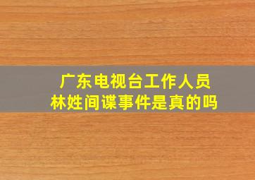 广东电视台工作人员林姓间谍事件是真的吗