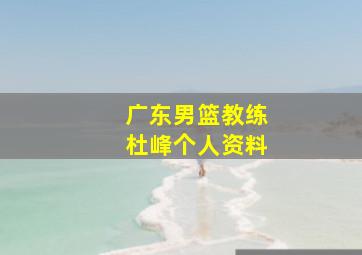 广东男篮教练杜峰个人资料