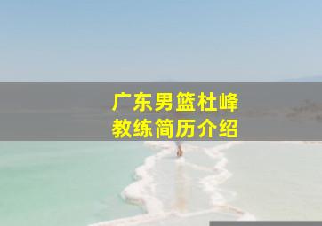 广东男篮杜峰教练简历介绍