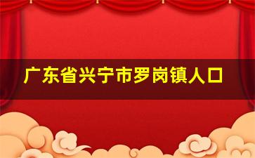 广东省兴宁市罗岗镇人口