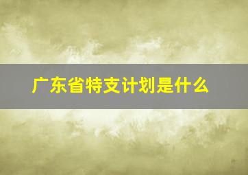 广东省特支计划是什么