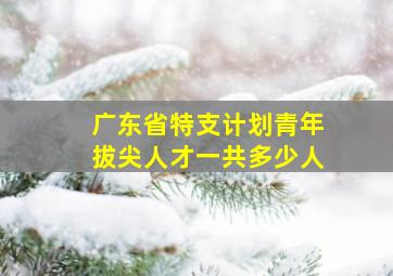 广东省特支计划青年拔尖人才一共多少人