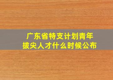 广东省特支计划青年拔尖人才什么时候公布