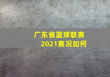 广东省篮球联赛2021赛况如何