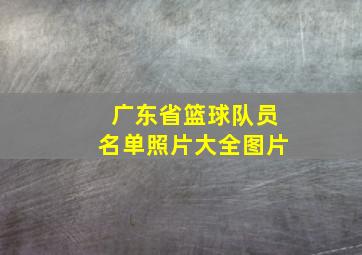 广东省篮球队员名单照片大全图片