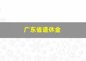 广东省退休金