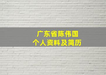 广东省陈伟国个人资料及简历