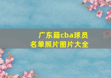 广东籍cba球员名单照片图片大全