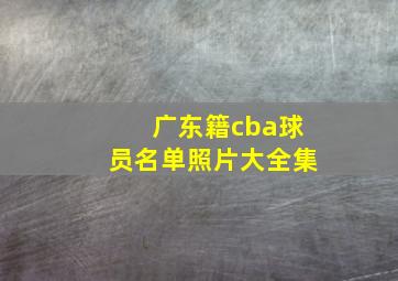 广东籍cba球员名单照片大全集