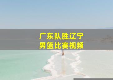 广东队胜辽宁男篮比赛视频