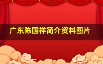 广东陈国祥简介资料图片