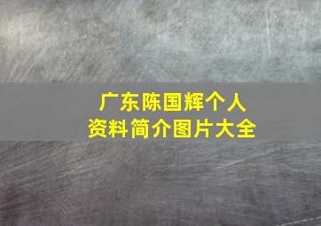 广东陈国辉个人资料简介图片大全