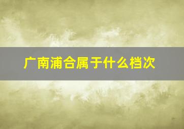 广南浦合属于什么档次