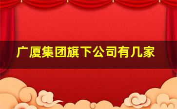 广厦集团旗下公司有几家