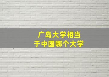 广岛大学相当于中国哪个大学