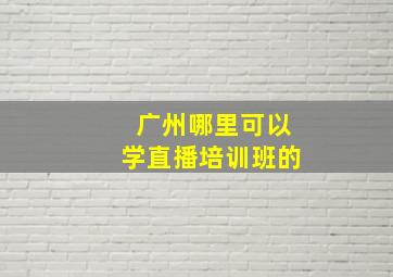 广州哪里可以学直播培训班的