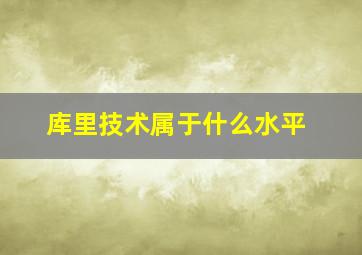 库里技术属于什么水平