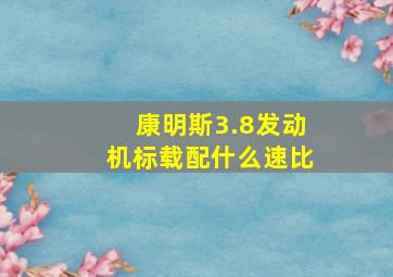 康明斯3.8发动机标载配什么速比