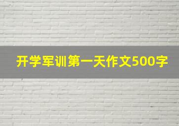 开学军训第一天作文500字