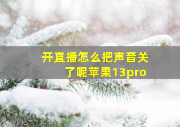 开直播怎么把声音关了呢苹果13pro