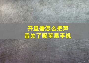 开直播怎么把声音关了呢苹果手机