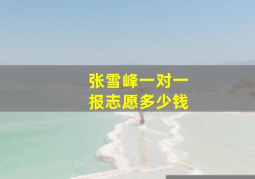 张雪峰一对一报志愿多少钱