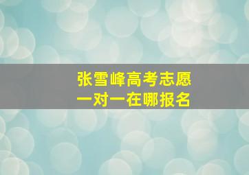 张雪峰高考志愿一对一在哪报名