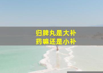 归脾丸是大补药嘛还是小补