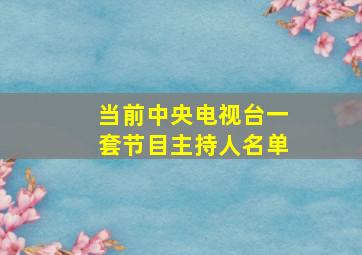 当前中央电视台一套节目主持人名单