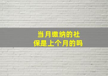 当月缴纳的社保是上个月的吗