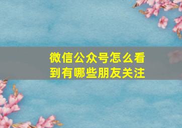 微信公众号怎么看到有哪些朋友关注