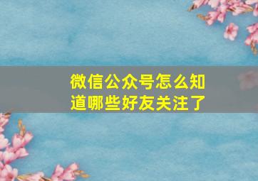 微信公众号怎么知道哪些好友关注了