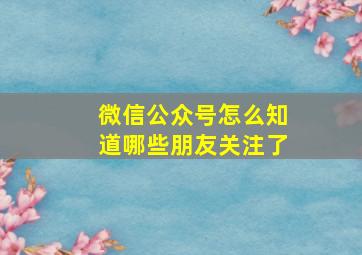 微信公众号怎么知道哪些朋友关注了