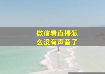 微信看直播怎么没有声音了