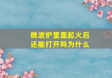 微波炉里面起火后还能打开吗为什么