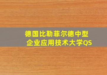 德国比勒菲尔德中型企业应用技术大学QS