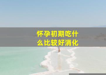 怀孕初期吃什么比较好消化