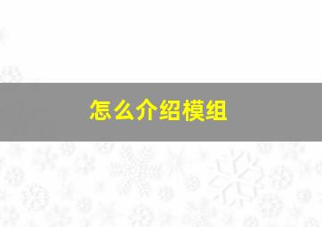 怎么介绍模组