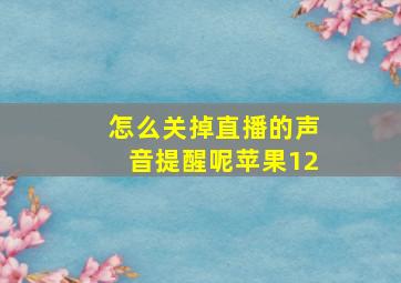 怎么关掉直播的声音提醒呢苹果12