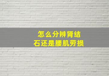 怎么分辨肾结石还是腰肌劳损