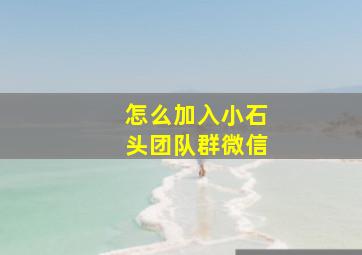 怎么加入小石头团队群微信